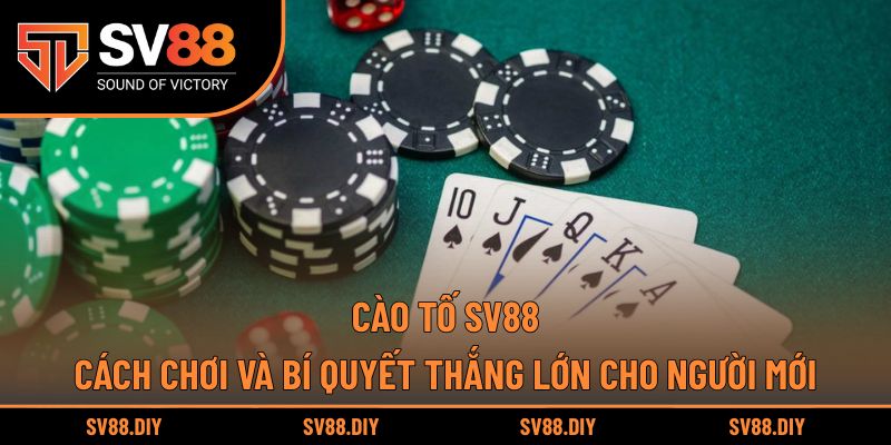 Cào Tố SV88 – Cách Chơi Và Bí Quyết Thắng Lớn Cho Người Mới