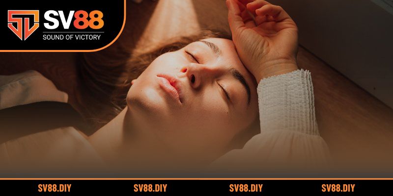 Giải nghĩa sâu hơn về giấc mơ chó đuổi và ảnh hưởng tới vận trình