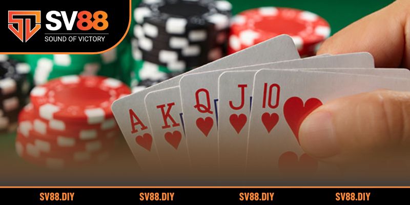 Giới thiệu về trò chơi cào tố