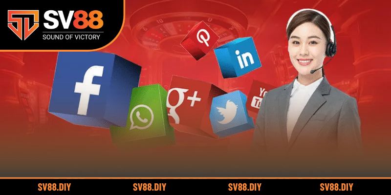 Quy trình giải quyết yêu cầu liên hệ nhà cái