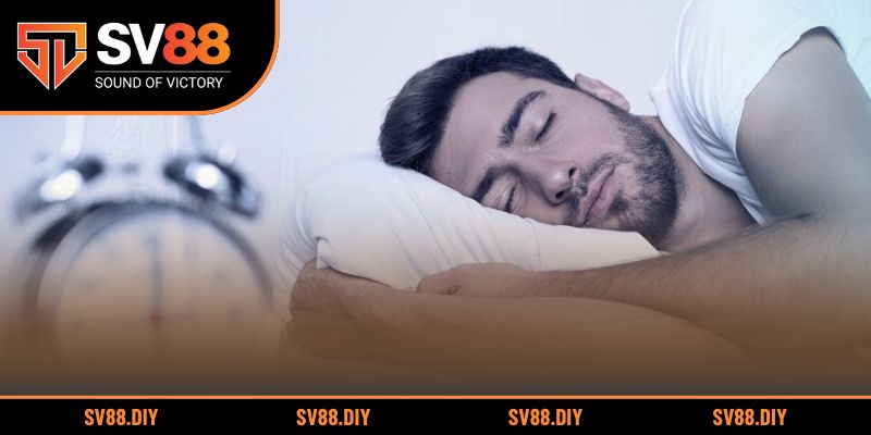 Ứng dụng giấc mơ chó dí để tăng cơ hội dự đoán trúng số